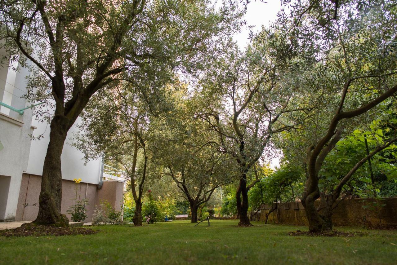 Apartments Villa Lena Zadar Eksteriør bilde